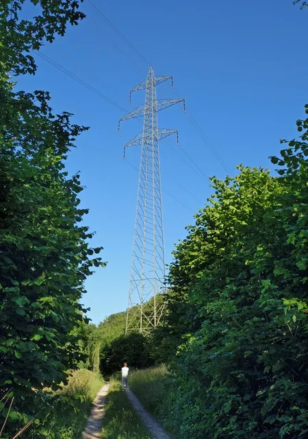 elektryczz